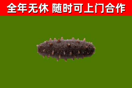洛川县烟酒回收干海参.jpg